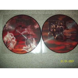 IMMOLATION (US) &lrm;&ndash; Dawn of Possession Pic LP Unofficial 2014 